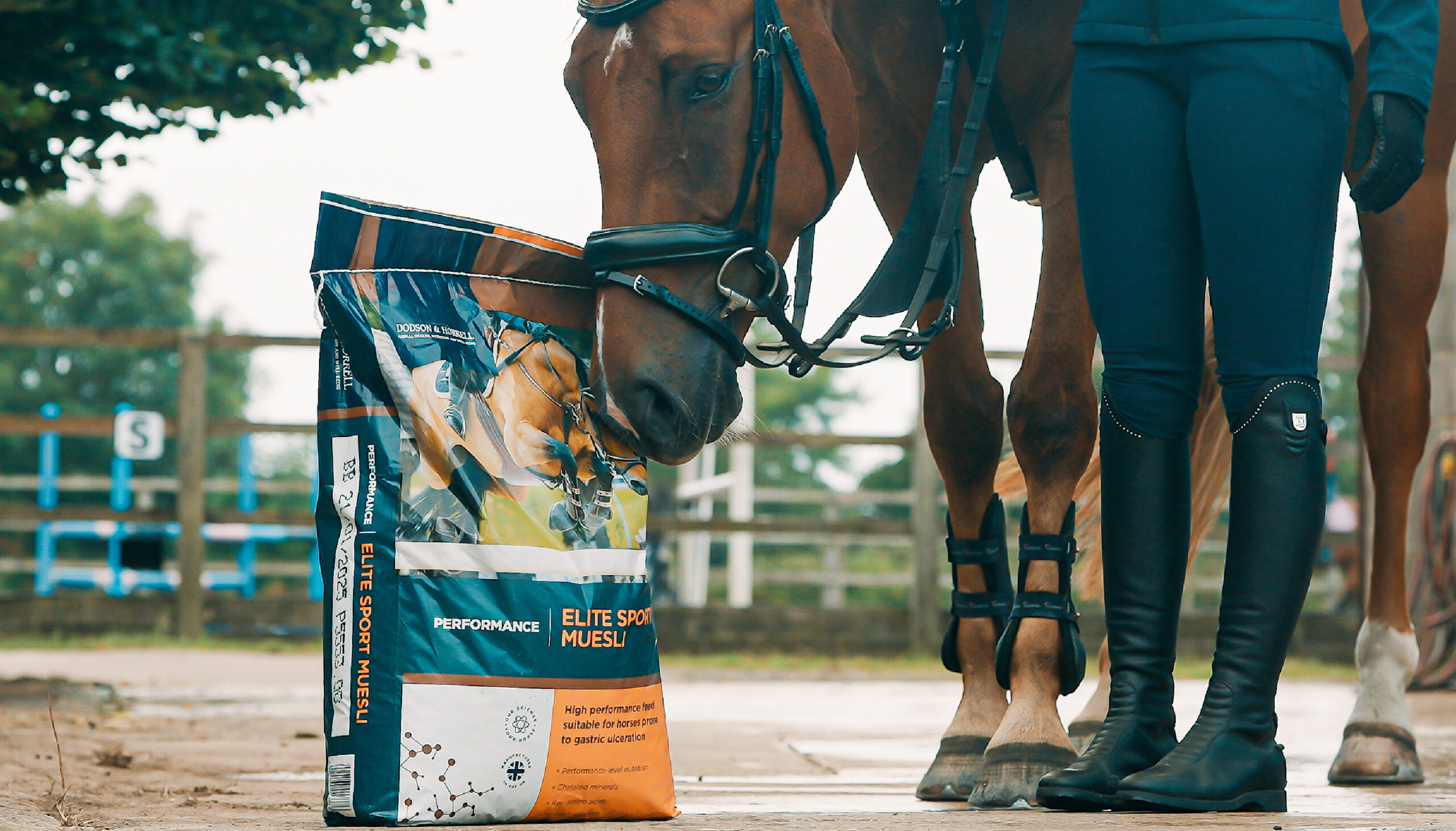 Horse Feed