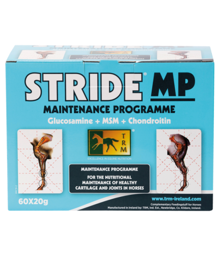TRM Stride MP (Maintenance Programme)