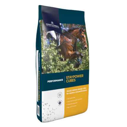 D&H Stay Power Cubes 20KG
